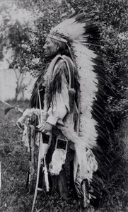 Lobo Blanco, un jefe comanche, c.1891-98 de American School
